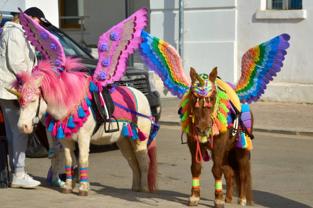 Suzdal, Vladimirovskaya oblast, Russia, 05.08.2022. Horses for children to ride. Winged ponies with colorful feathers - tourist attraction