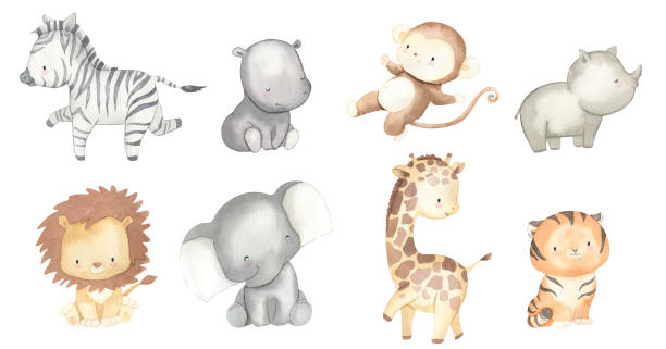 illustrations, cliparts, dessins animés et icônes de illustration d’animaux de safari à l’aquarelle pour les enfants - lion safari africa animal
