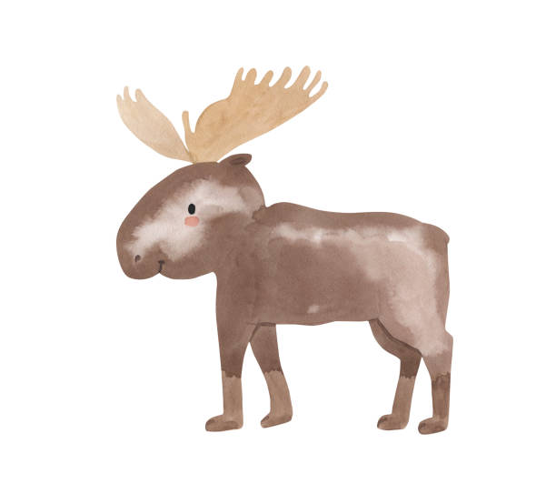 istock Watercolor moose. Arctic animal illustration for kids 1405526749