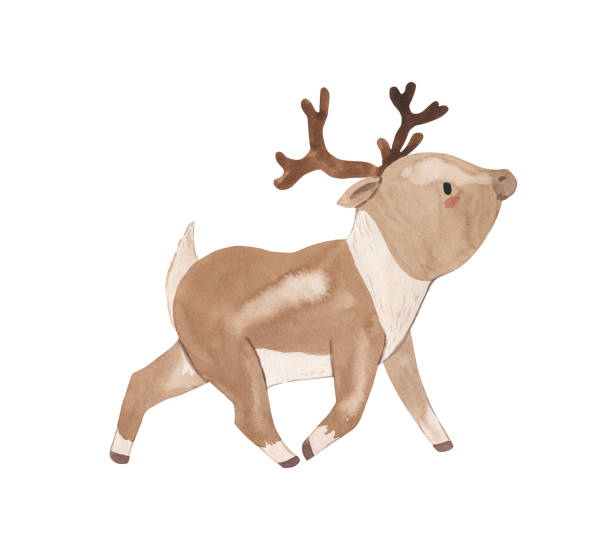 istock Watercolor reindeer. Arctic animal illustration for kids 1405526803