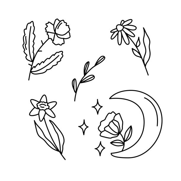 ilustrações de stock, clip art, desenhos animados e ícones de flowers and moon. botanic, magic and astrological symbol. line art for stickers or tattoo. decor and drawing up horoscope according to the natal chart. vector illustration. - pattern information medium technology backgrounds