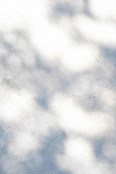 A wall with shadows from leaves. Abstract background.
