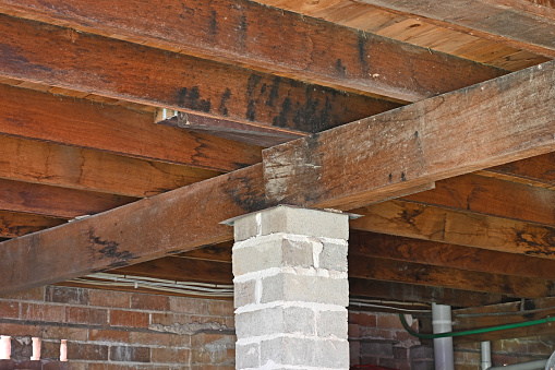 Timber floor bearers and joists and a brick peer