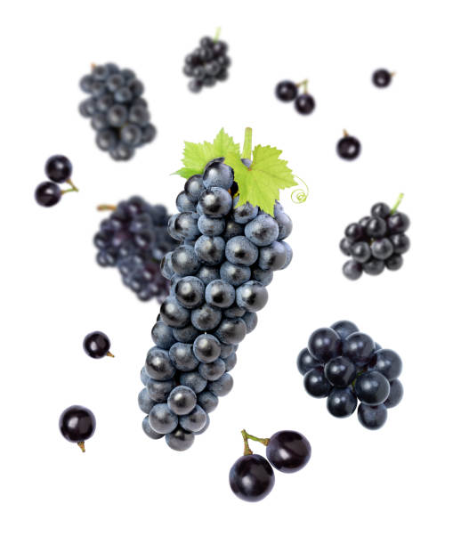 black grape with cut half slice flying in the air isolated on white