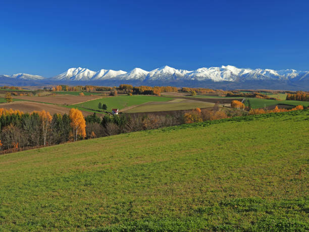 Spectacular Late Autumn Views in Biei Hills of Biei and snow-capped peaks of the Tokachi Mountain Range. biei town stock pictures, royalty-free photos & images