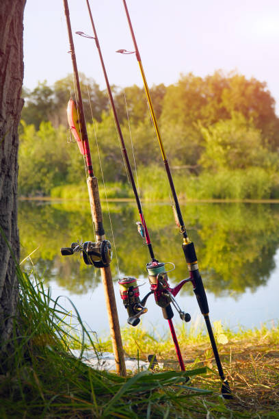 istock Spinning rods with lures ready for fishing 1405539049