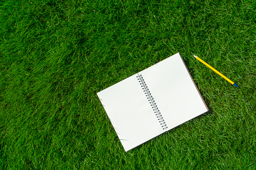 Notebook on the lawn.