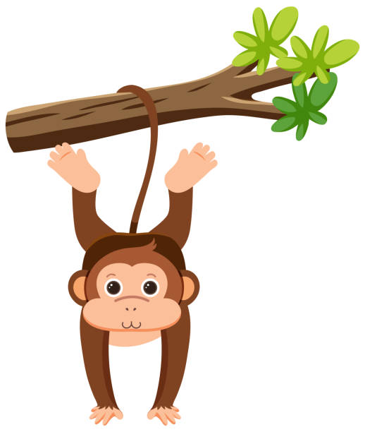 małpa wisząca na drzewie - cartoon monkey animal tree stock illustrations