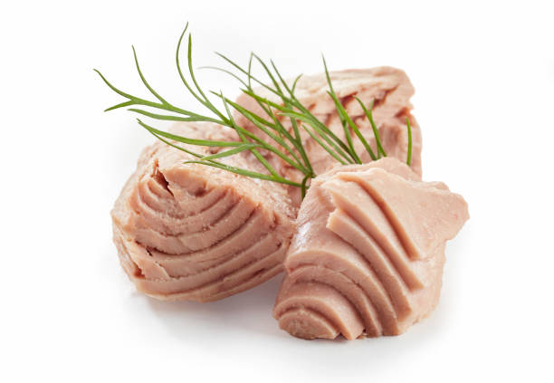 Closeup of sliced canned tuna fish fillet with sprig of fresh green dill on white background