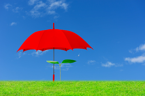Opened red umbrella with pattern isolated on white background, cut out, clipping path, studio shot