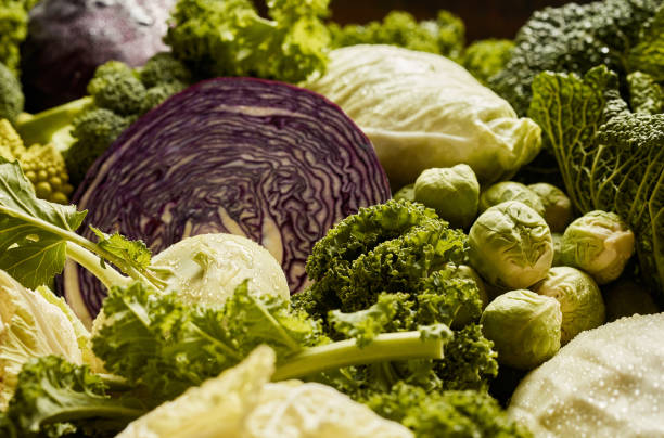 Assorted types of fresh ripe cabbages