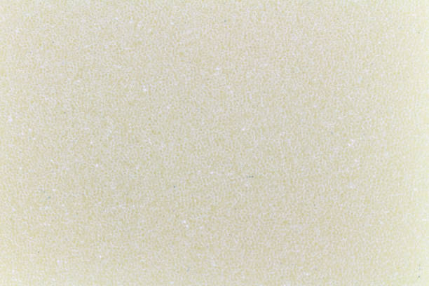 sponge texture abstract clean bath sponge texture abstract clean bath. sponginess stock pictures, royalty-free photos & images