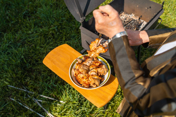 senior woman doing process of cooking barbecue completed on a metal grill.cooking for a picnic.delicious, juicy, aromatic pieces of shashlik.meadow background. - 12042 imagens e fotografias de stock