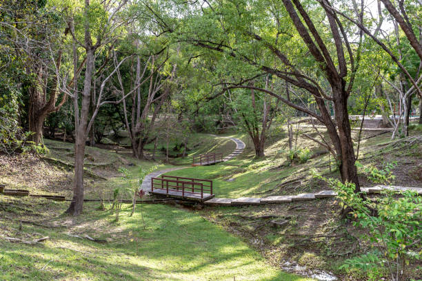 istock Labuan Botanical Garden, Malaysia 1405547684