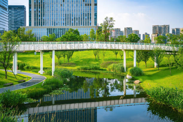 istock Sunny Chengdu Financial City 1405547824
