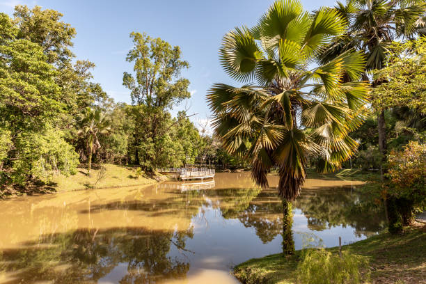 istock Labuan Botanical Garden, Malaysia 1405548200
