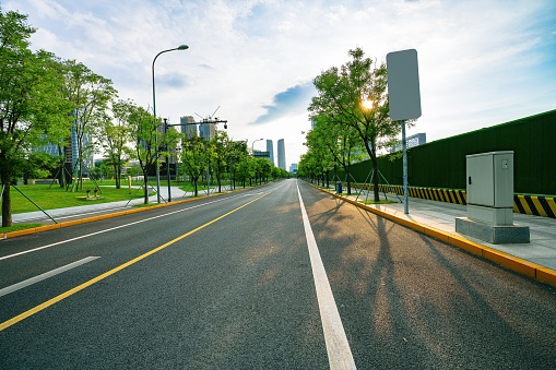 Roads and trees at dusk