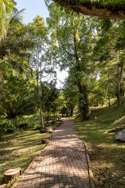 istock Labuan Botanical Garden, Malaysia 1405548972