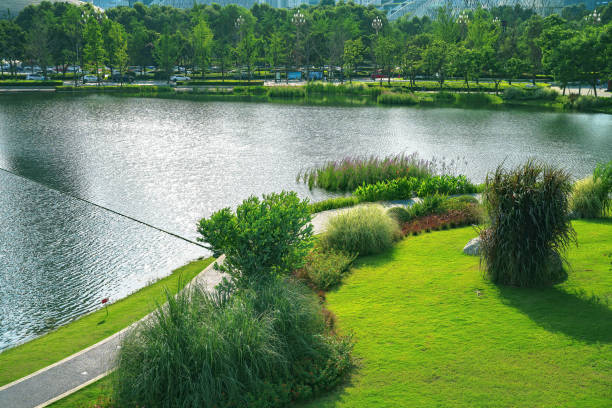 istock Sunny world Chengdu riverside Financial City 1405550106