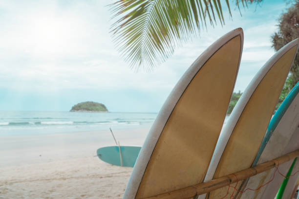 istock Many surfboards for rent  at summer beach with sunlight  blue sky. 1405550340
