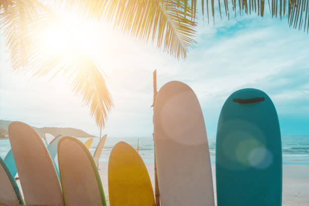 istock Many surfboards for rent  at summer beach with sunlight  blue sky. 1405550342