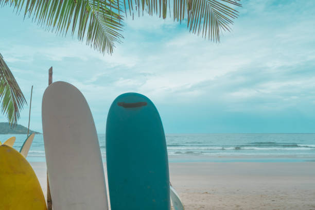 istock Many surfboards for rent  at summer beach with sunlight  blue sky. 1405550406