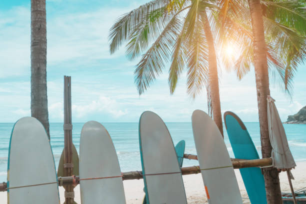 istock Many surfboards for rent  at summer beach with sunlight  blue sky. 1405550418