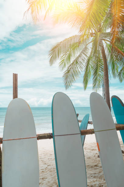 istock Many surfboards for rent  at summer beach with sunlight  blue sky. 1405550440