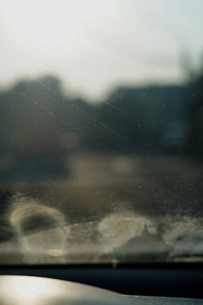 istock blur effect on car glass 1405550550