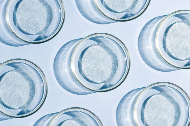 istock pattern petri dish with transparent helium serum 1405551478