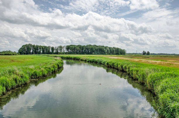 istock Creek in a Dutch polder landscape 1405561728