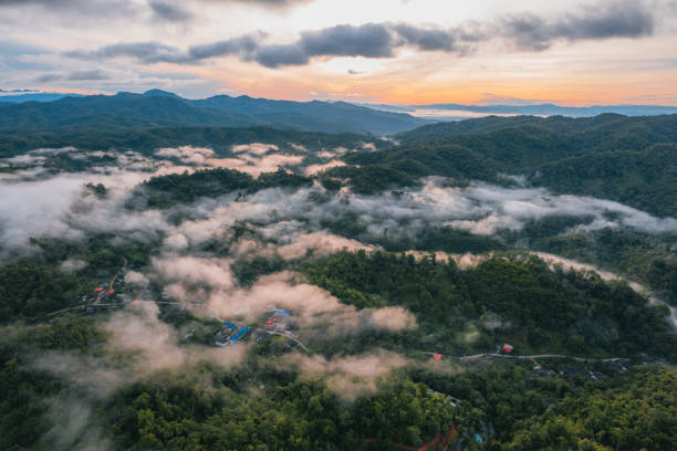 istock morning green forest and fog 1405561858