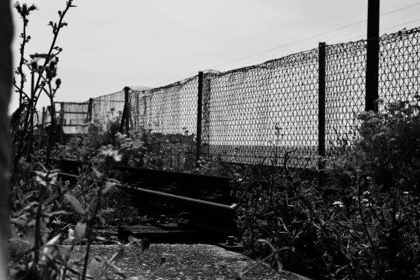 istock Wildflowers growing by the railway 1405565431