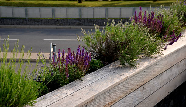 the railings of the terrace on the balcony are formed by boxes lined with natural terrace boards with grooved profiling. the interface between the table and the street is formed by flowering herbs - usa restaurant flower bed beauty in nature imagens e fotografias de stock