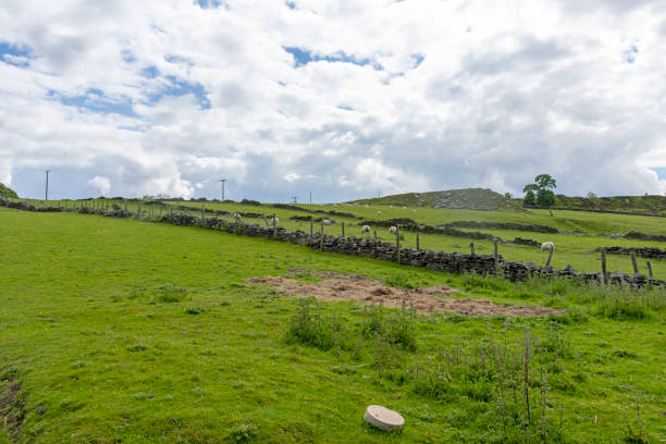 istock Peniston Crags near Haworth 1405571295