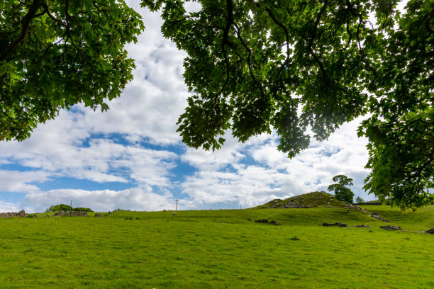 Peniston Crags near Haworth, Yorkshire.  These are the moors written about by Charlotte Bronte in the novel 'Wuthering Heights'.