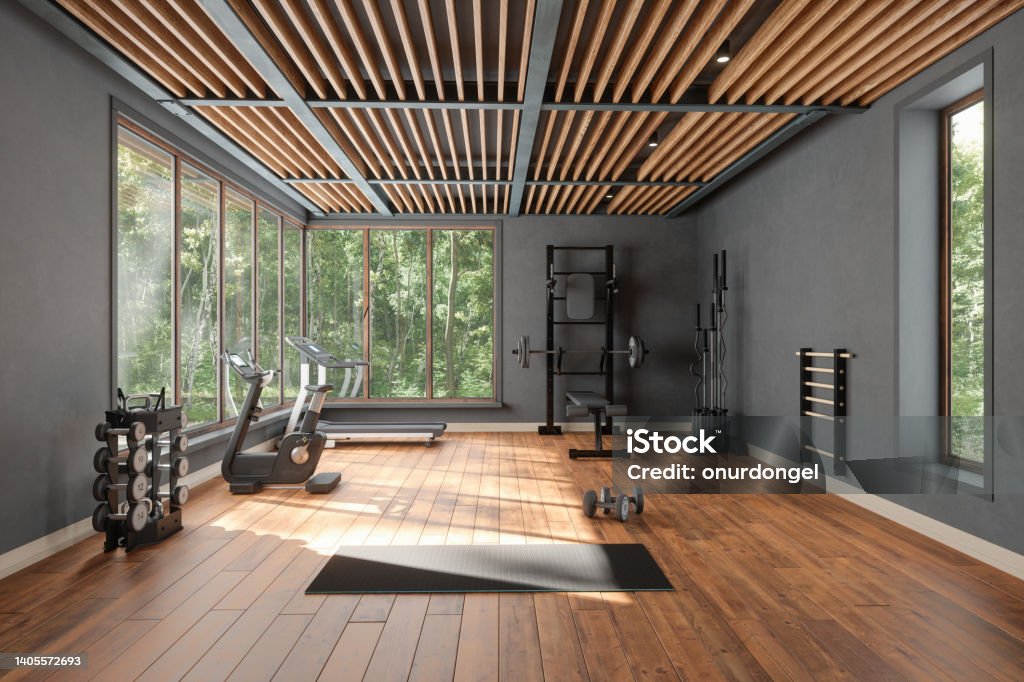 Personal Training Studio With Barbell, Dumbbells, Exercise Bike And Garden View From The Window Gym Stock Photo