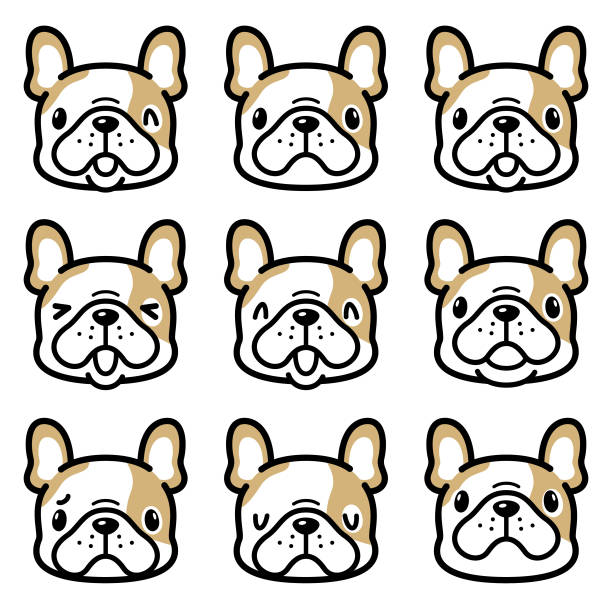 Cute facial expression icon of the French bulldog Animal characters vector art illustration.
Cute facial expression icon of the French bulldog. angry dog barking cartoon stock illustrations
