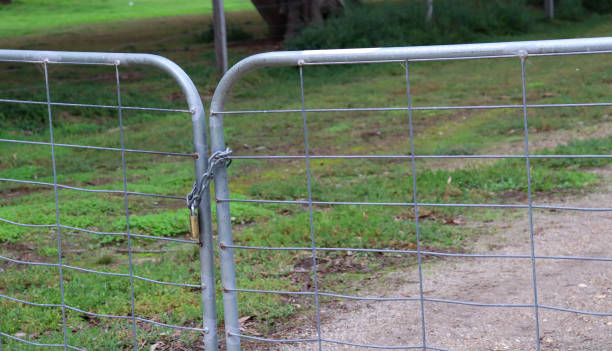 istock locked farm gate across dirt road 1405574330