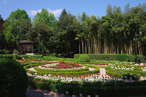 Green public park with flowerbed and hedge surrounded by various species of cultivated trees and bamboo grove