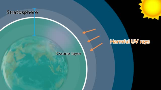 The ozone layer blocks harmful UV rays from the sun.