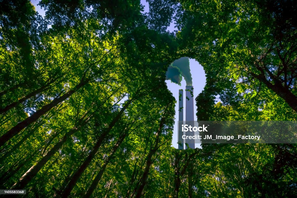 Greenwashing Concept Smoke Stacks of a Factory or Power Station Hidden Behind a Green Forest Greenwashing Stock Photo
