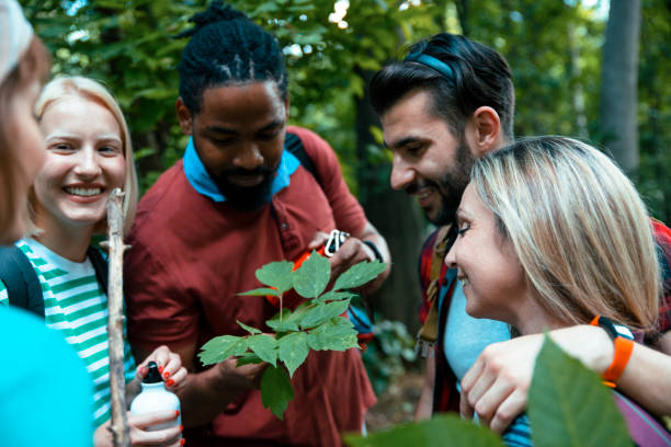 istock Examine the green leaves in woods 1405583667