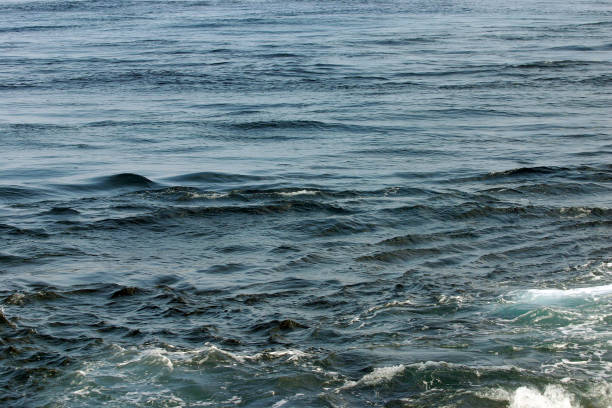 istock Blue gray ocean surface and Black current photograph. 1405587964