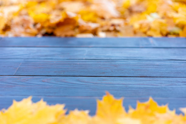 istock Empty wooden table nature bokeh background with autumn yellow maple leaf boarder Template mock up for display of product Copy space 1405590343