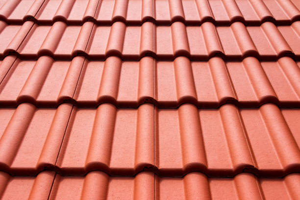 istock Roof tiles texture 1405590624
