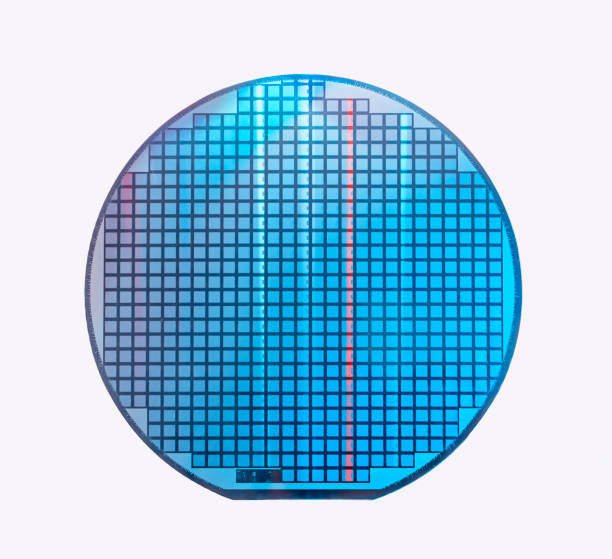 istock Silicon wafer with chips isolated on white background 1405591352