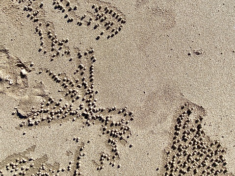 waves wash away sand castles on the beach the sea