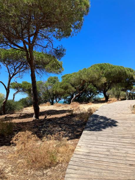 istock Park land coastal walk. Bright and summery. 1405592305