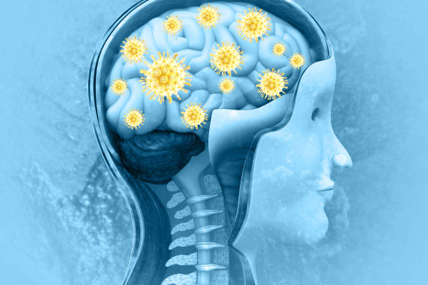 istock Brain viral infection 3d illustration 1405592684